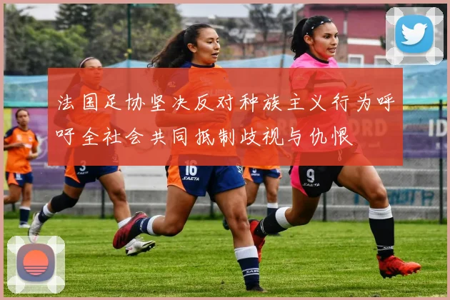 法国足协坚决反对种族主义行为呼吁全社会共同抵制歧视与仇恨